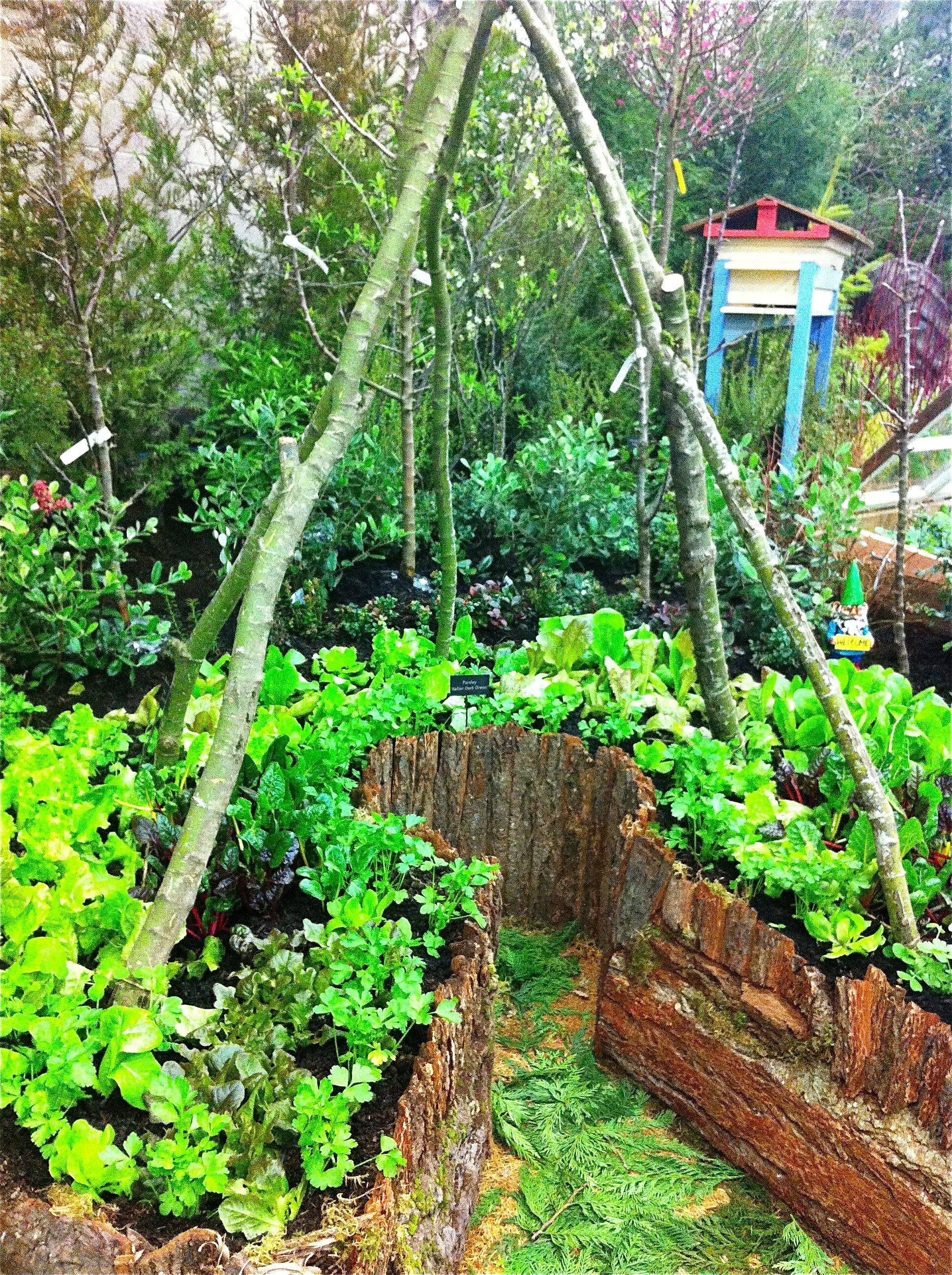 Your Ideal Permaculture Garden