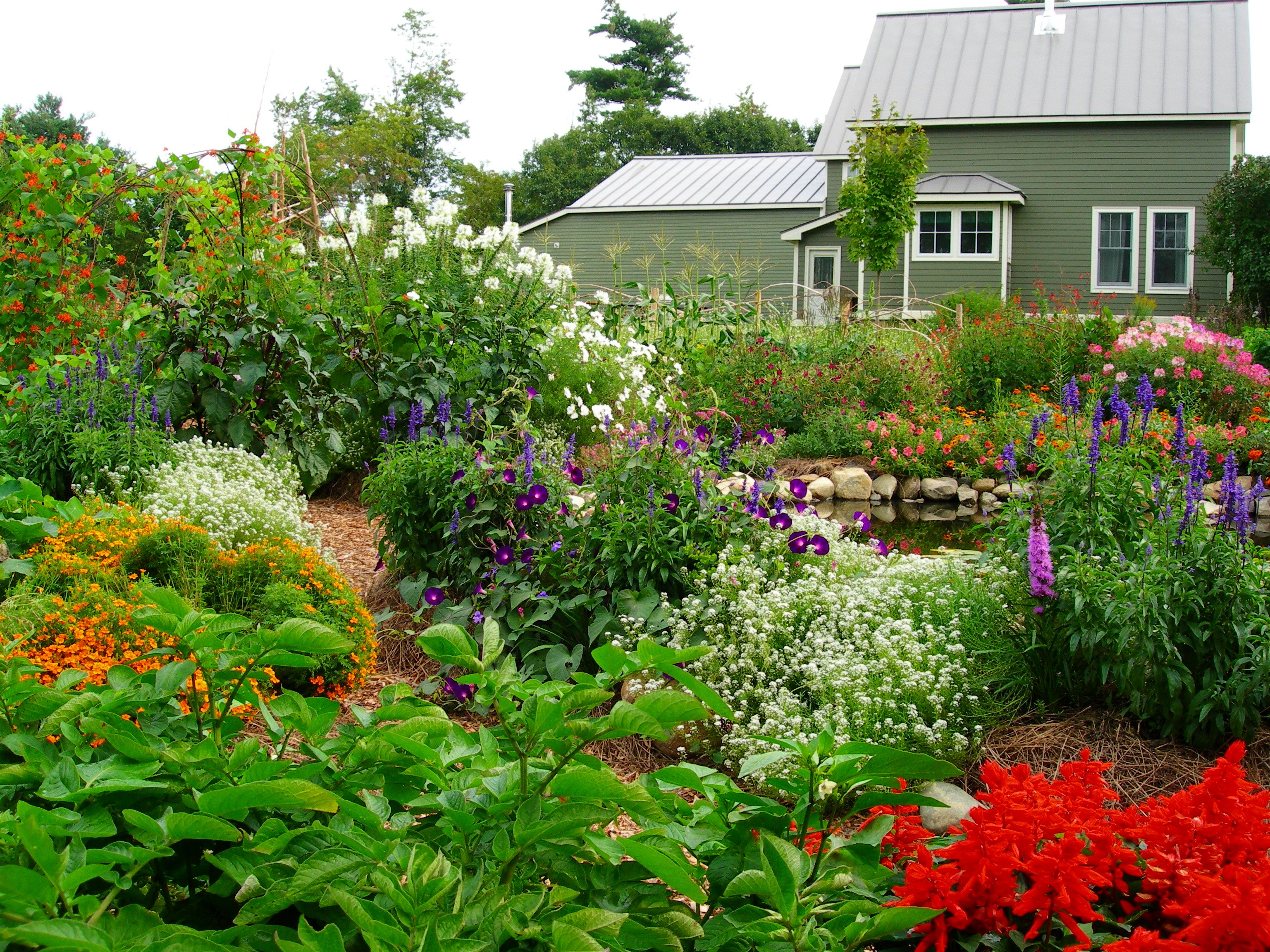 Permaculture Garden