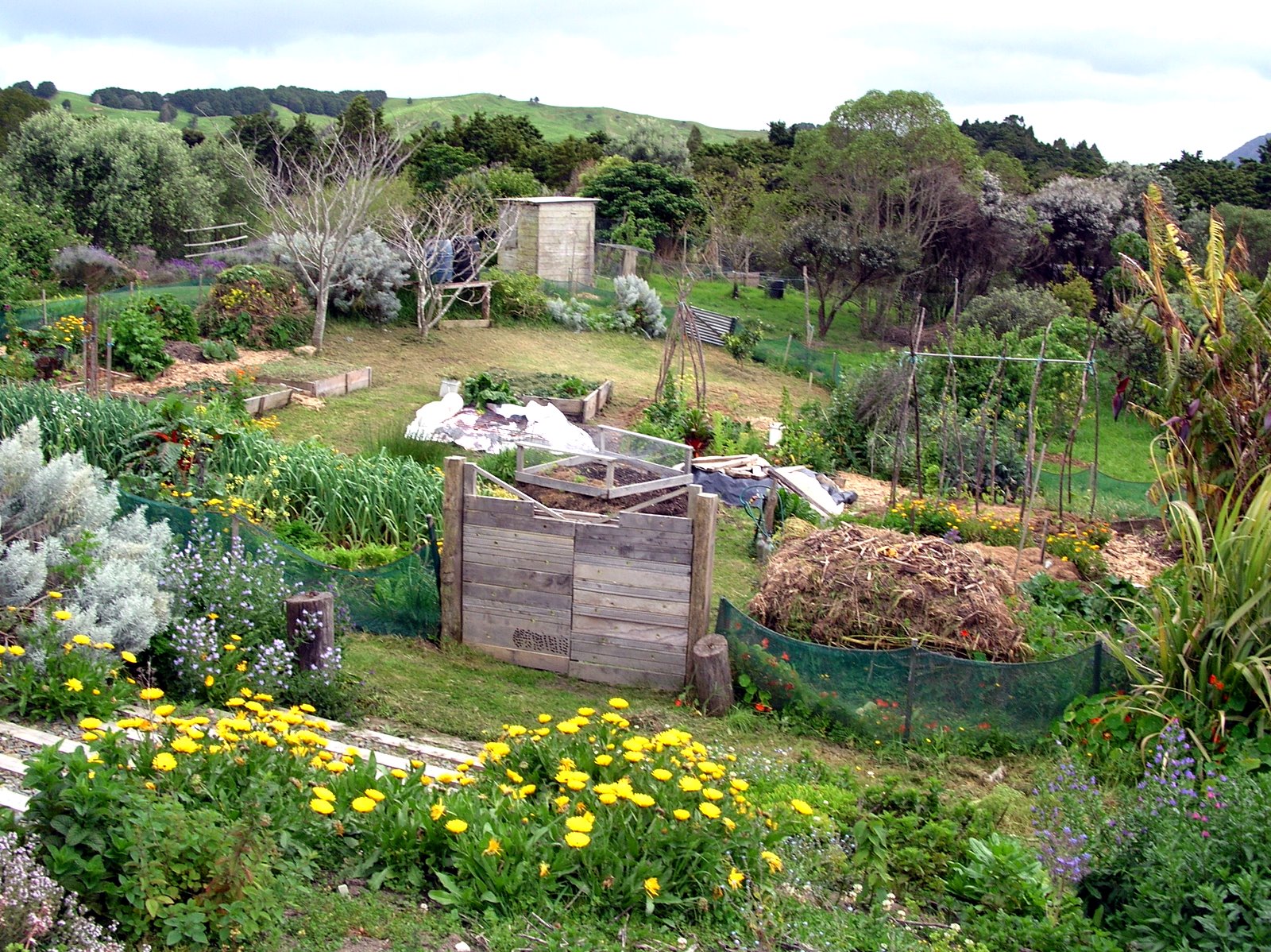 Permaculture Gardening