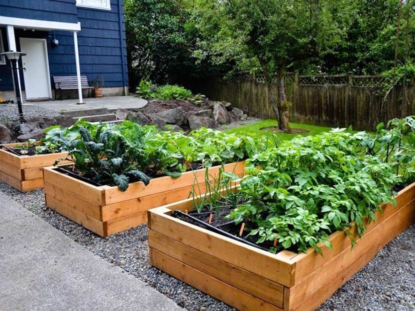 Diy Raised Garden Bed Ideas