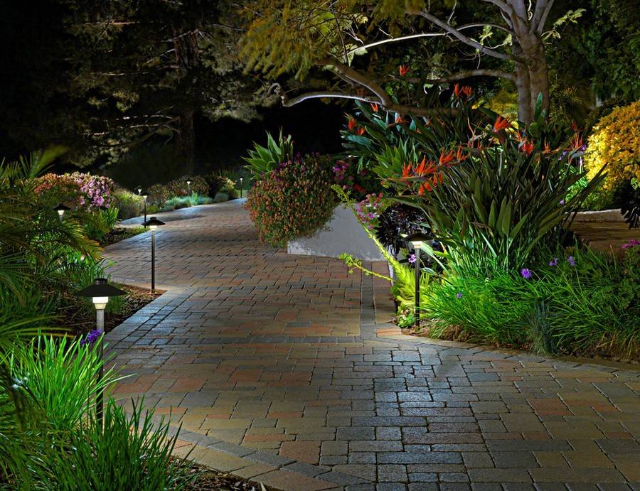 Your Pathways Beauty