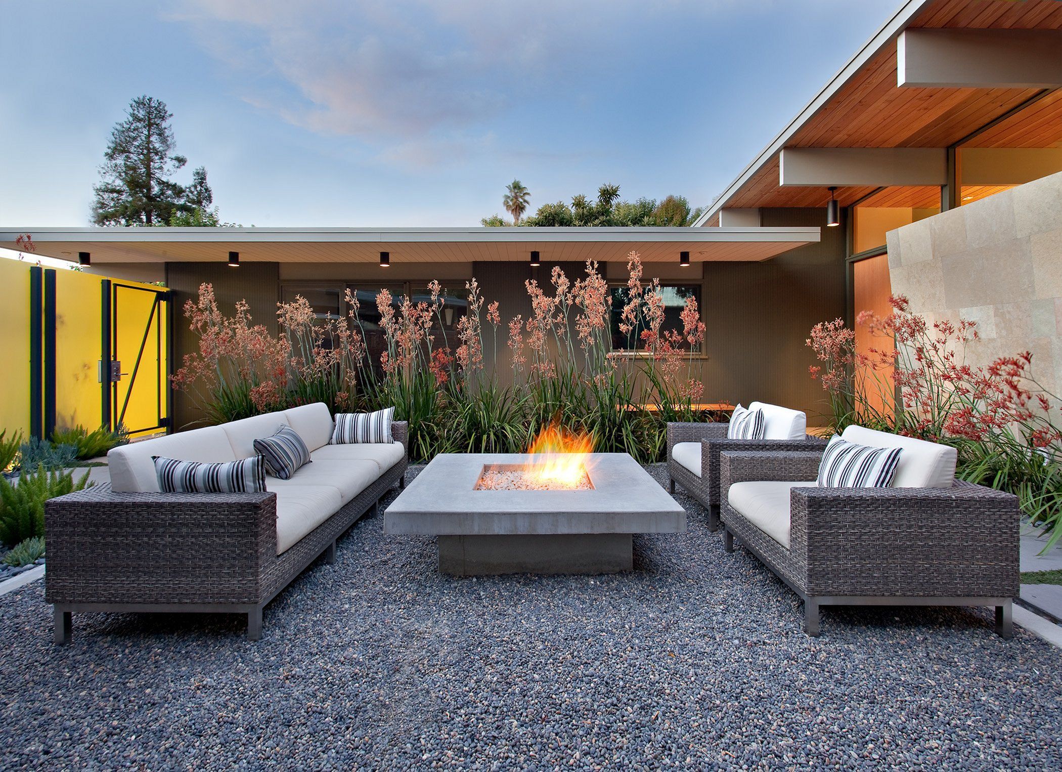 Mylandscapes Contemporary Garden Design