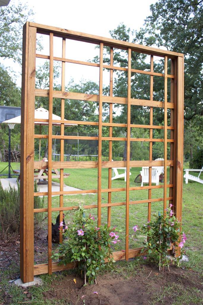 Centsational Style Diy Trellis