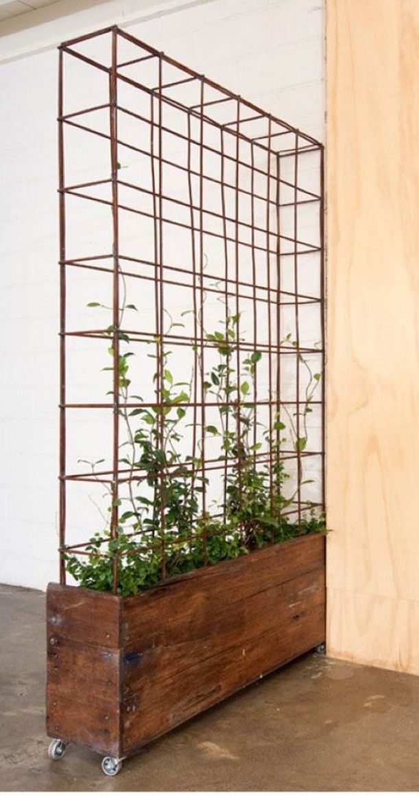 Modern Trellis Design