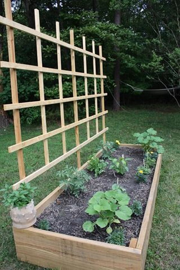 Garden Update Tomato Trellis