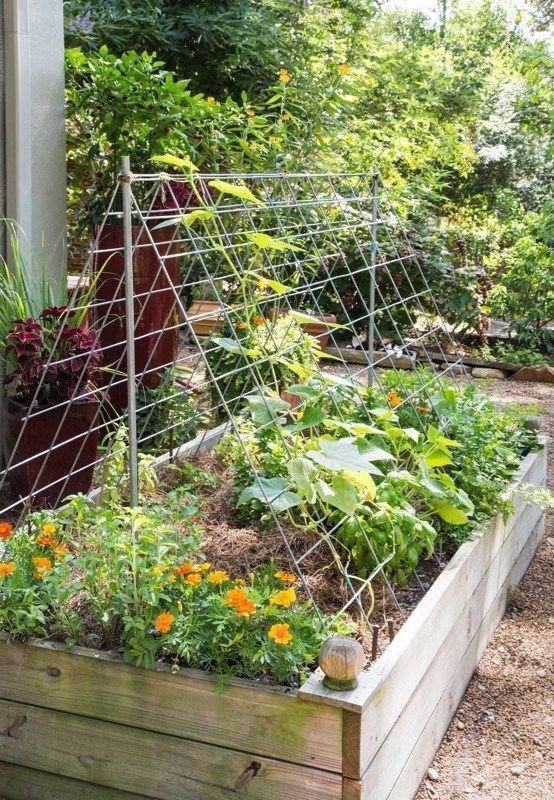 Raised Planting Beds