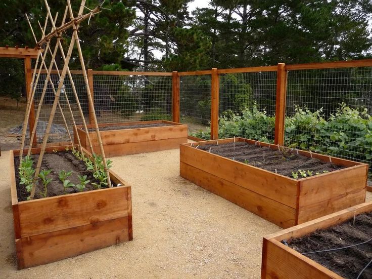 Raised Garden Bed Ideas