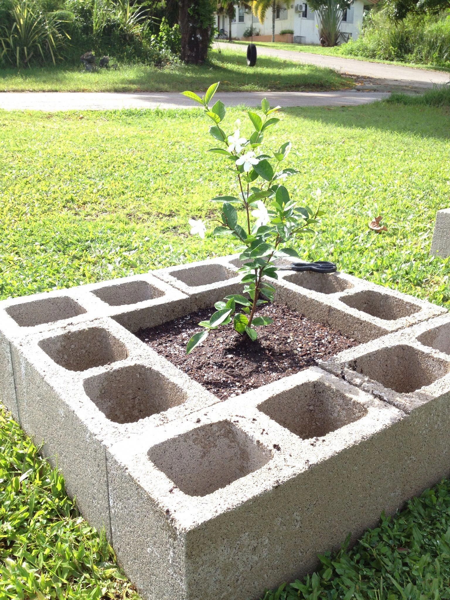 Raised Flower Planter