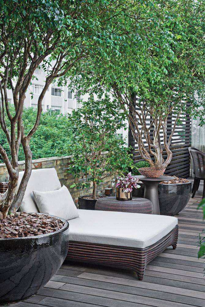 Best Rooftop Garden Ideas