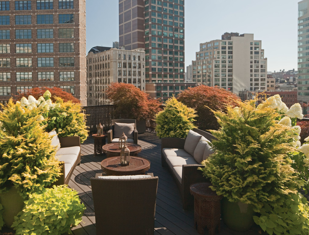 Top Contemporary Rooftop Garden Design Ideas Thegardengranny