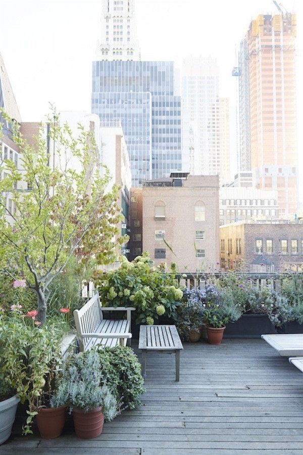 A Rooftop Garden