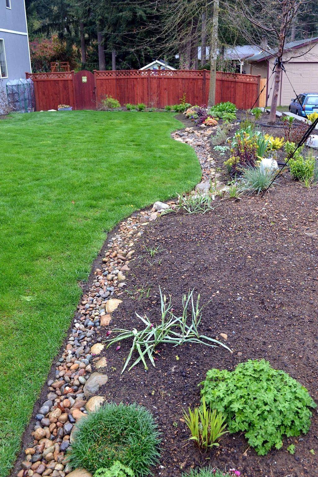 Backyard Garden