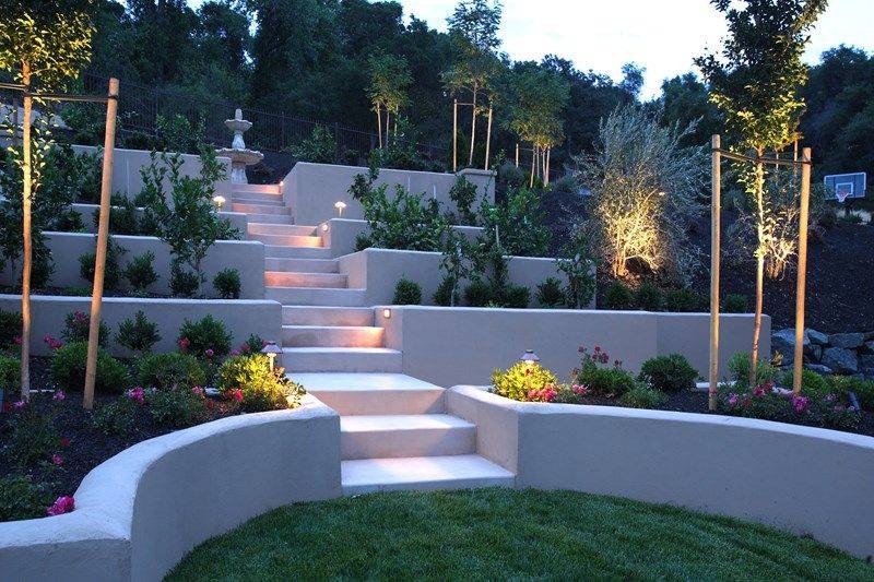 The Backyard