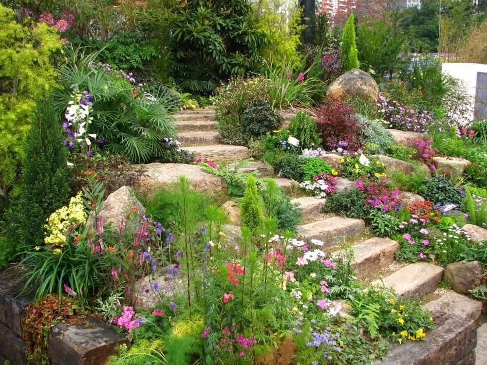 Best Rock Garden Ideas Images
