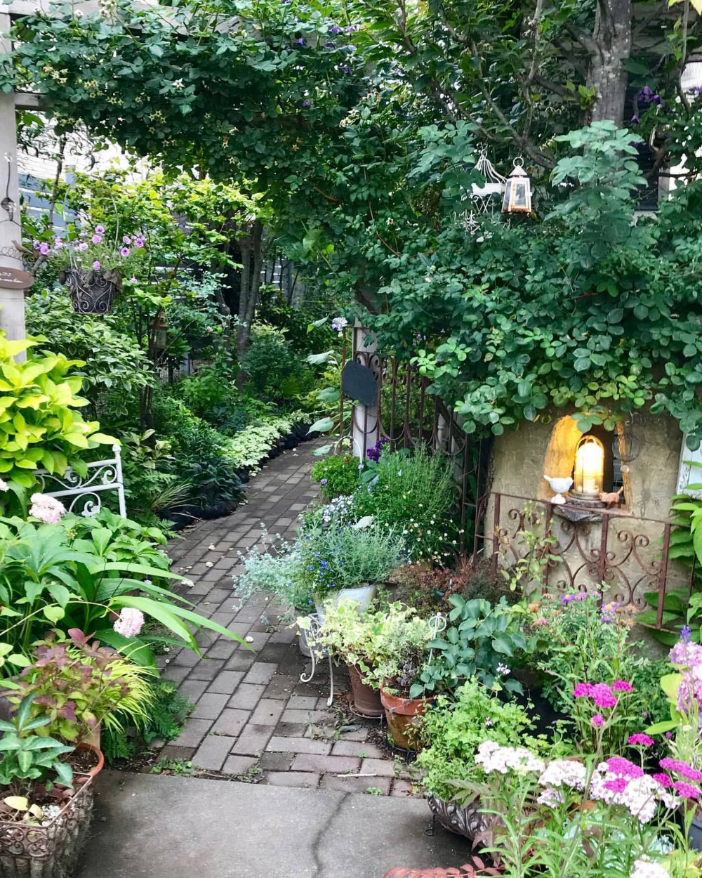 Secret Hideaway Dream Garden Patio Backyard