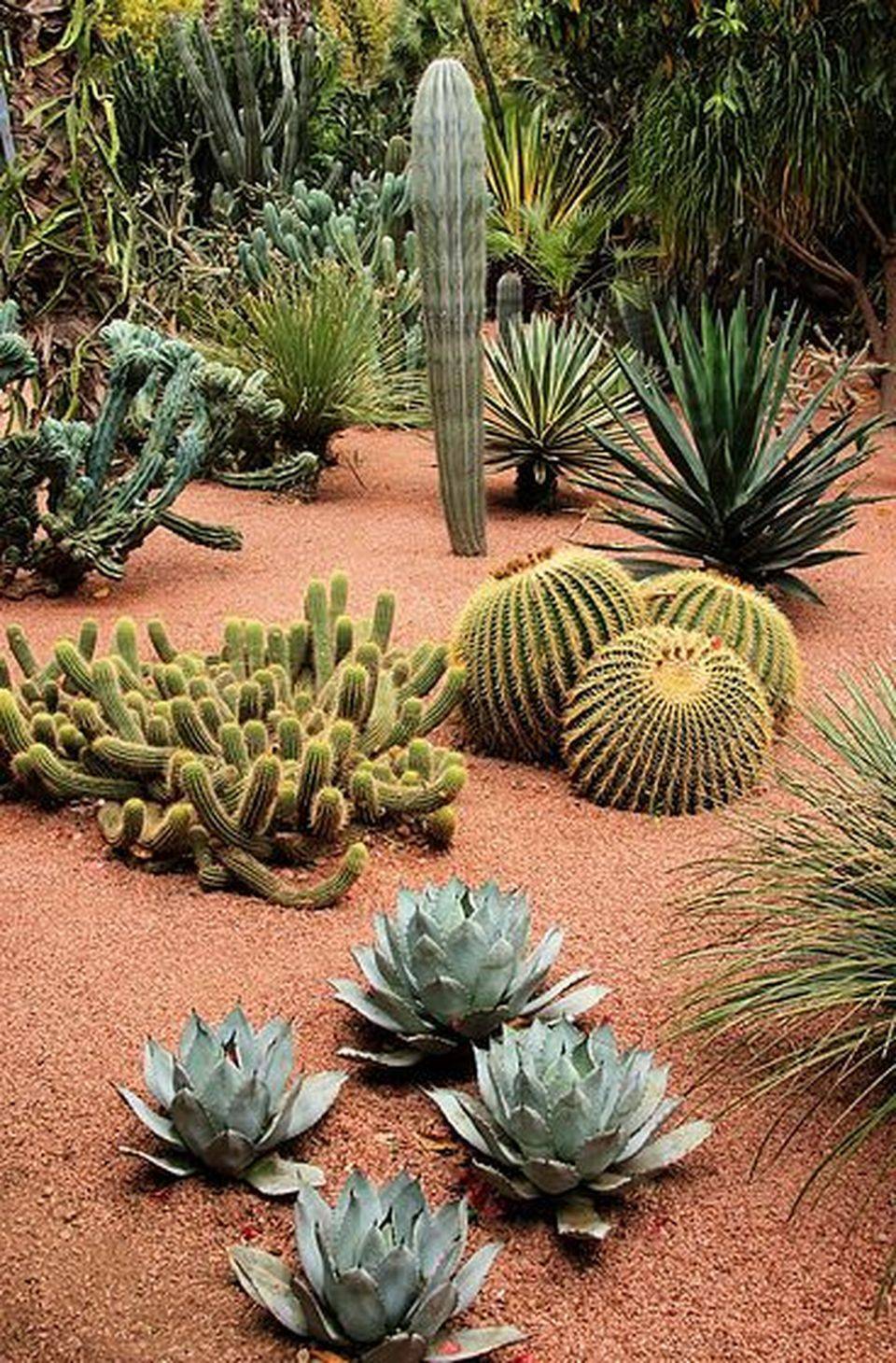 Beautiful Desert Garden Design Ideas