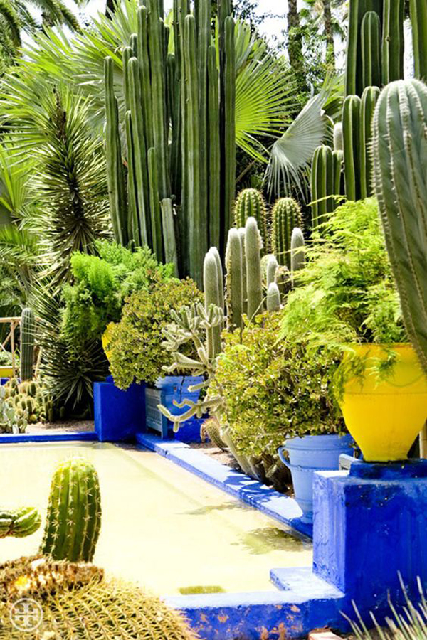 Astounding Beautiful Desert Garden Design Ideas