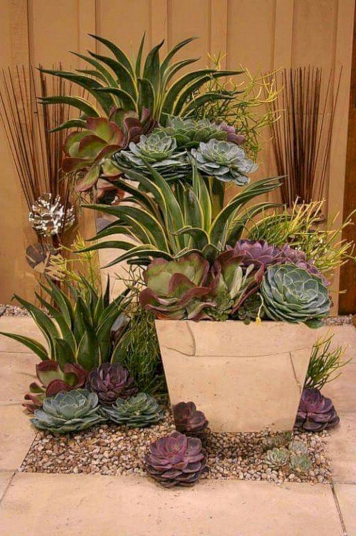 Stunning Desert Garden Ideas