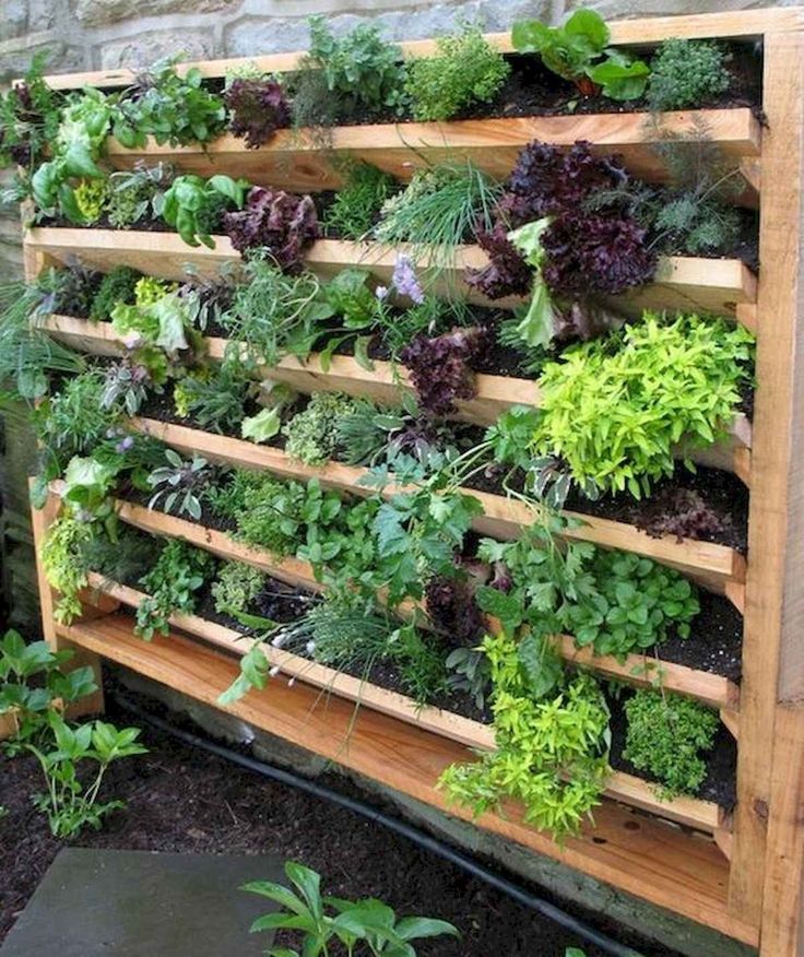 A Tiered Container Garden Southern Patio