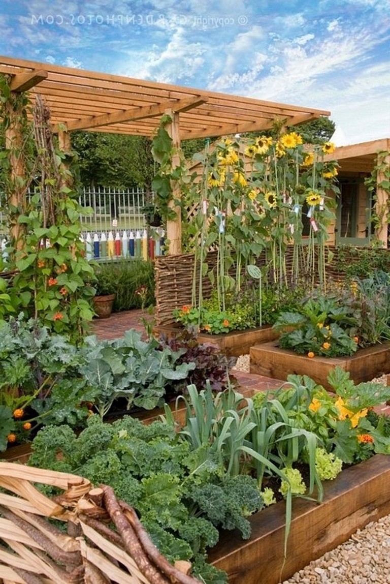 A Tiered Container Garden Southern Patio