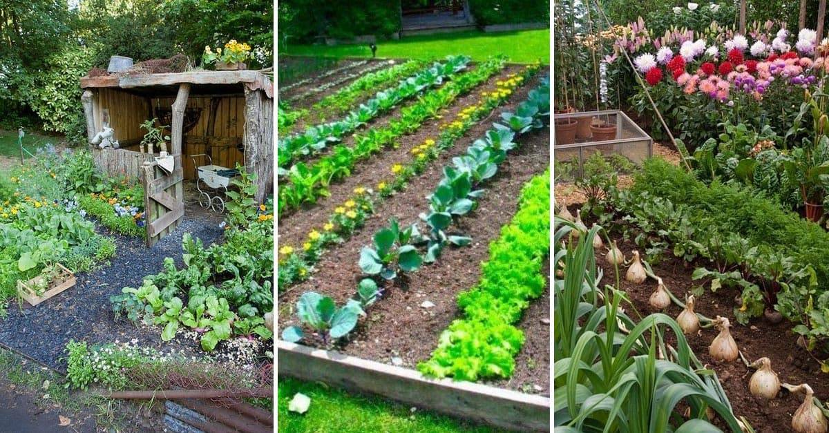 Vegetable Gardening Ideas