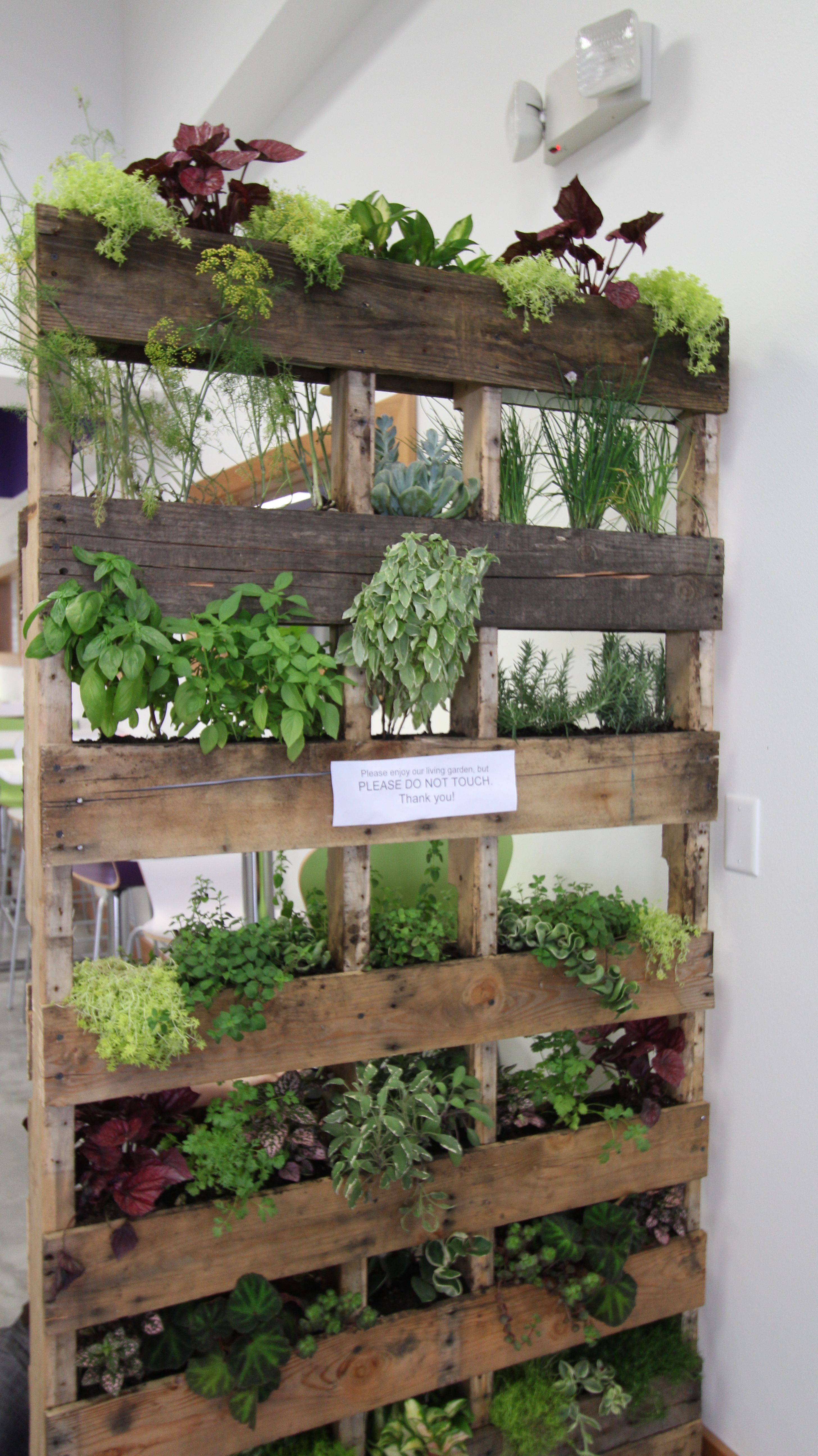 Best Diy Herb Garden Ideas Youll Obsess Over In In