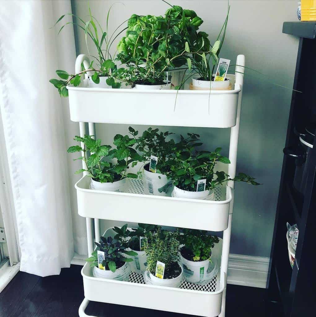 Vertical Herb Garden