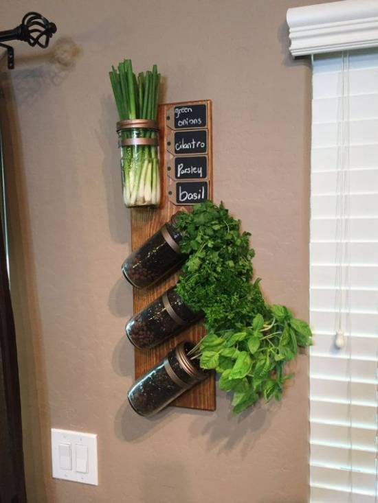 The Top Indoor Herb Garden Ideas