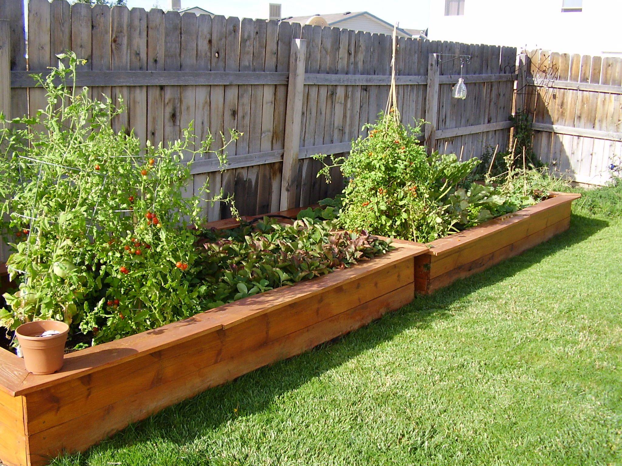 Vegetable Garden Box Ideas