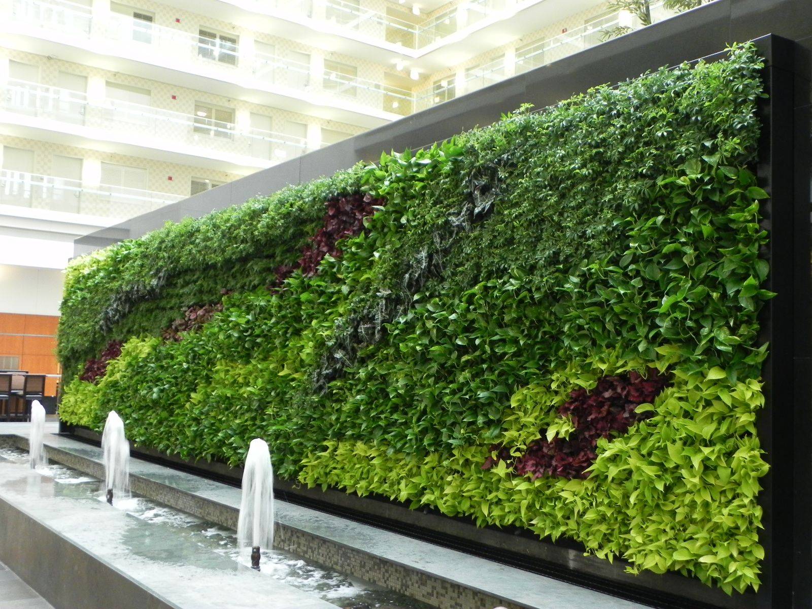 Breathtaking Living Wall Designs