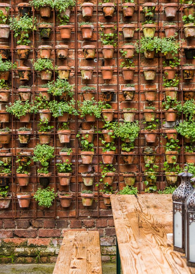 Sunloving Succulents And Grasses Living Wall