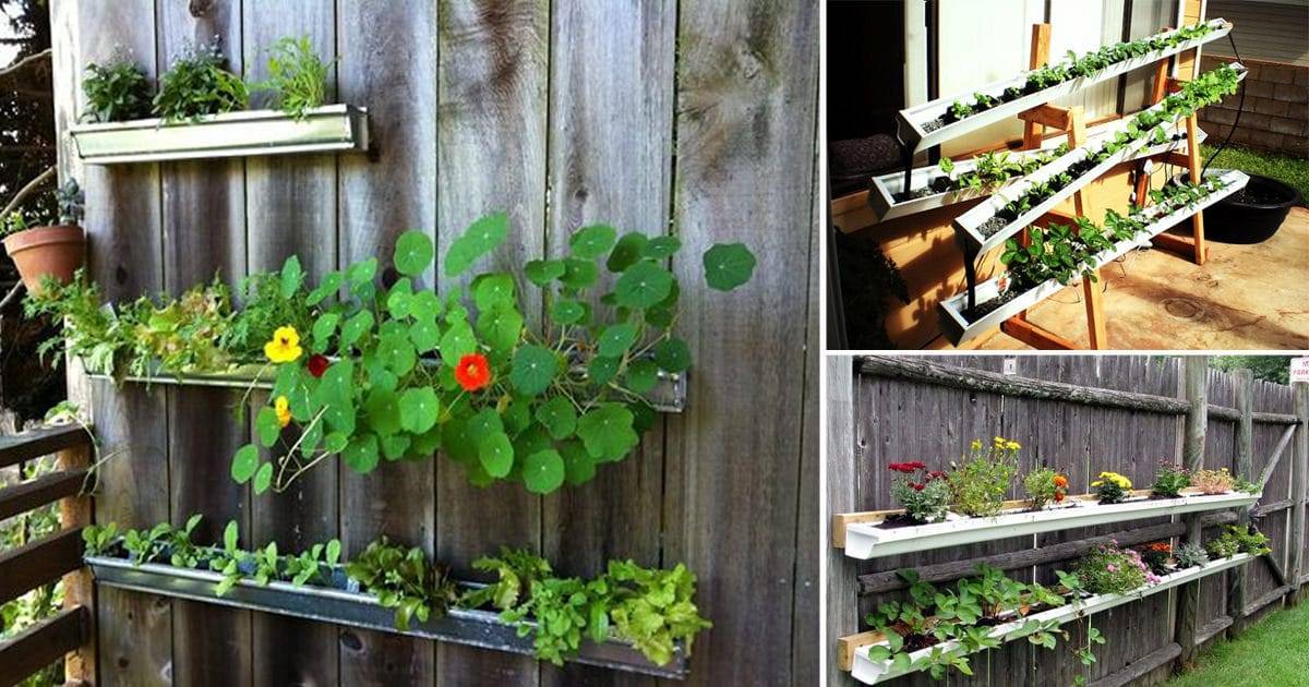 Creative And Innovative Rain Gutter Garden Ideas