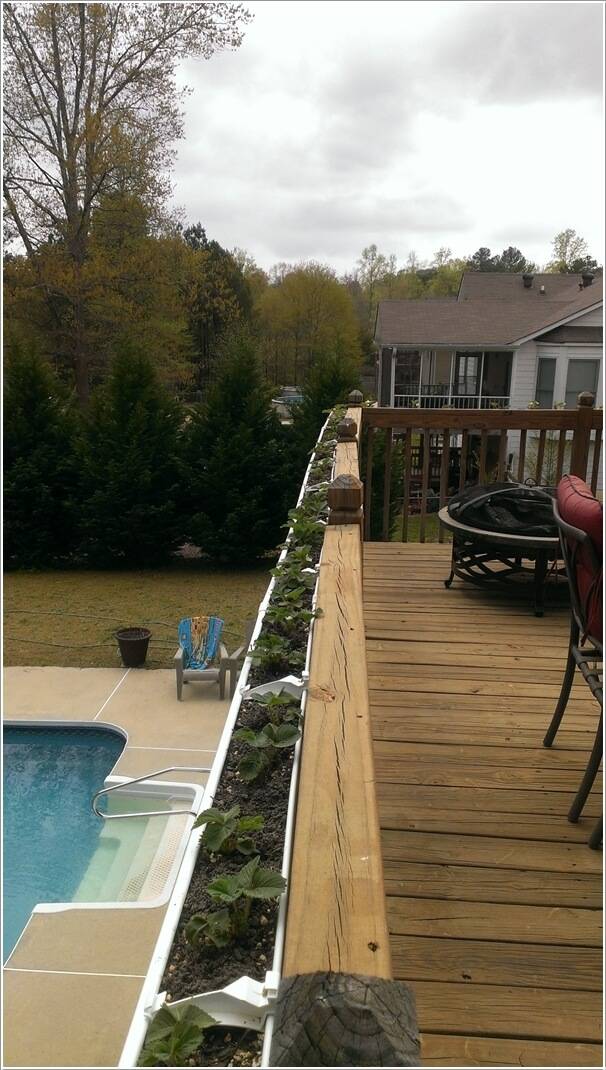 Creative And Innovative Rain Gutter Garden Ideas