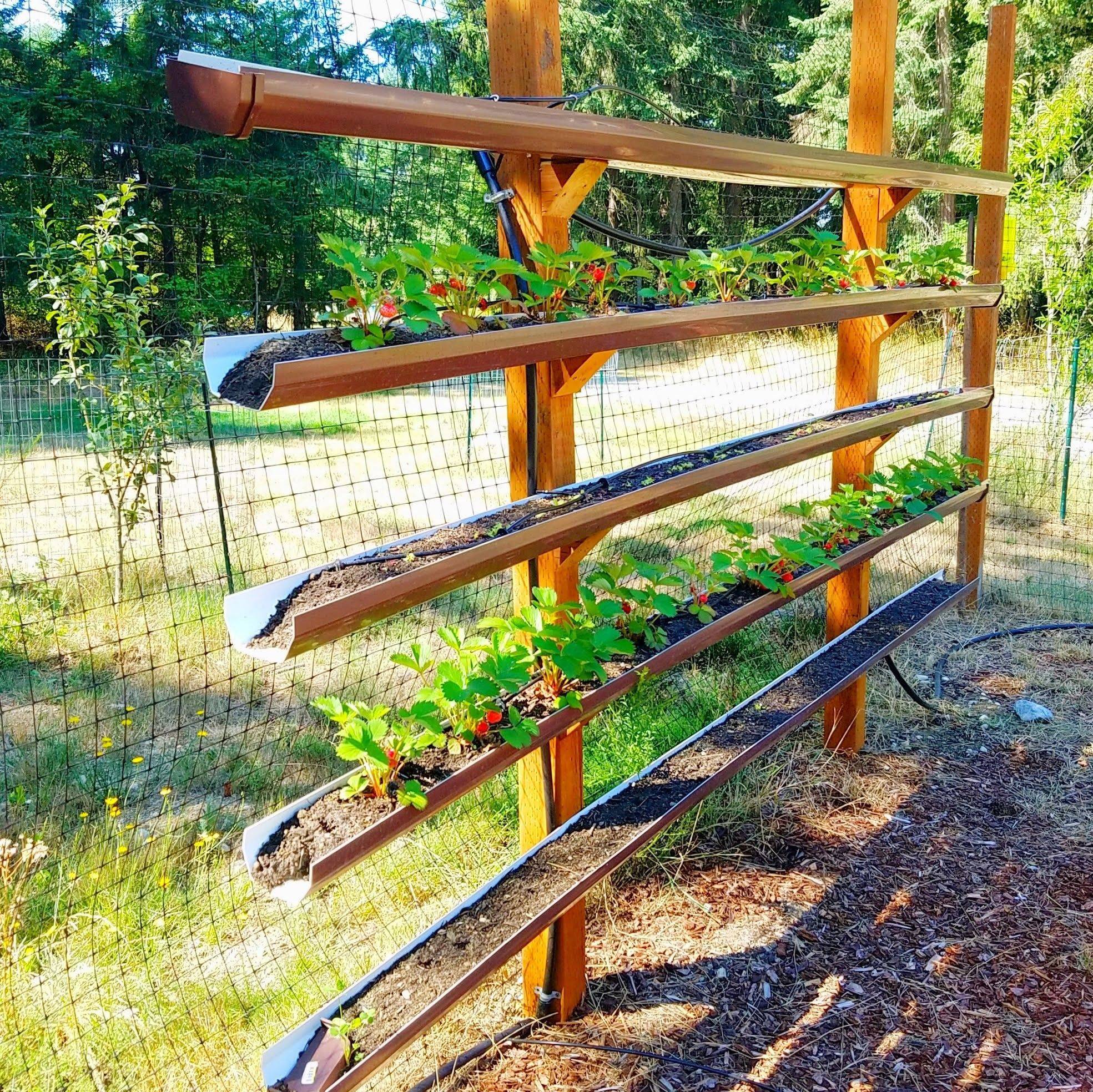 Vertical Diy Rain Gutter Garden Ideas