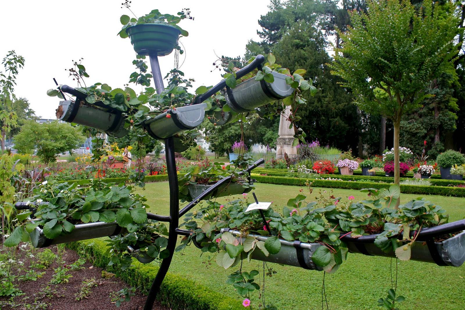 Easy And Neat Rain Gutter Garden Ideas