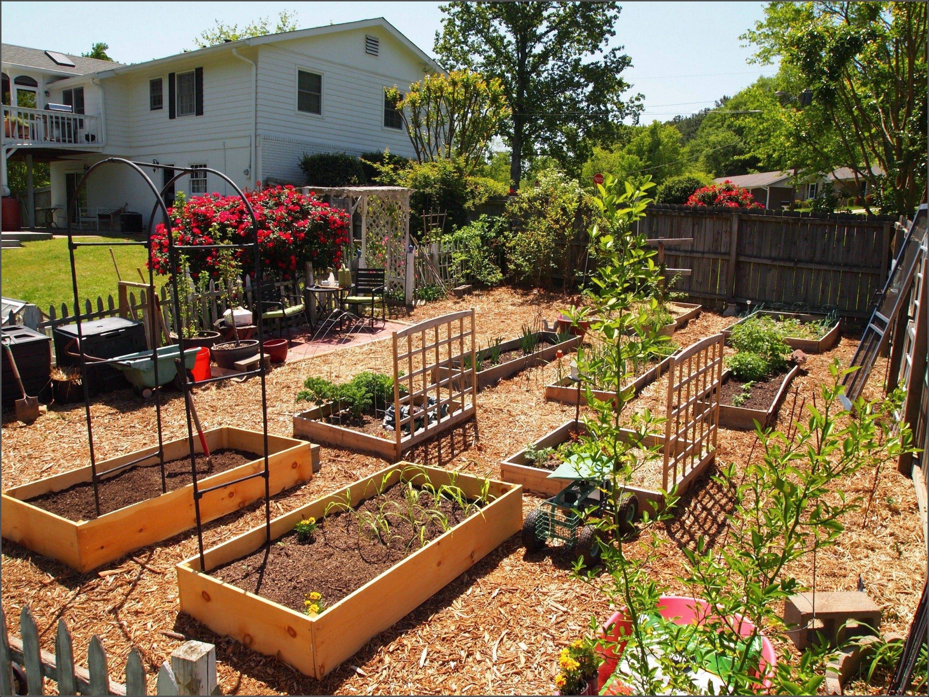 Inspiring Cheap Easy Diy Raised Garden Beds