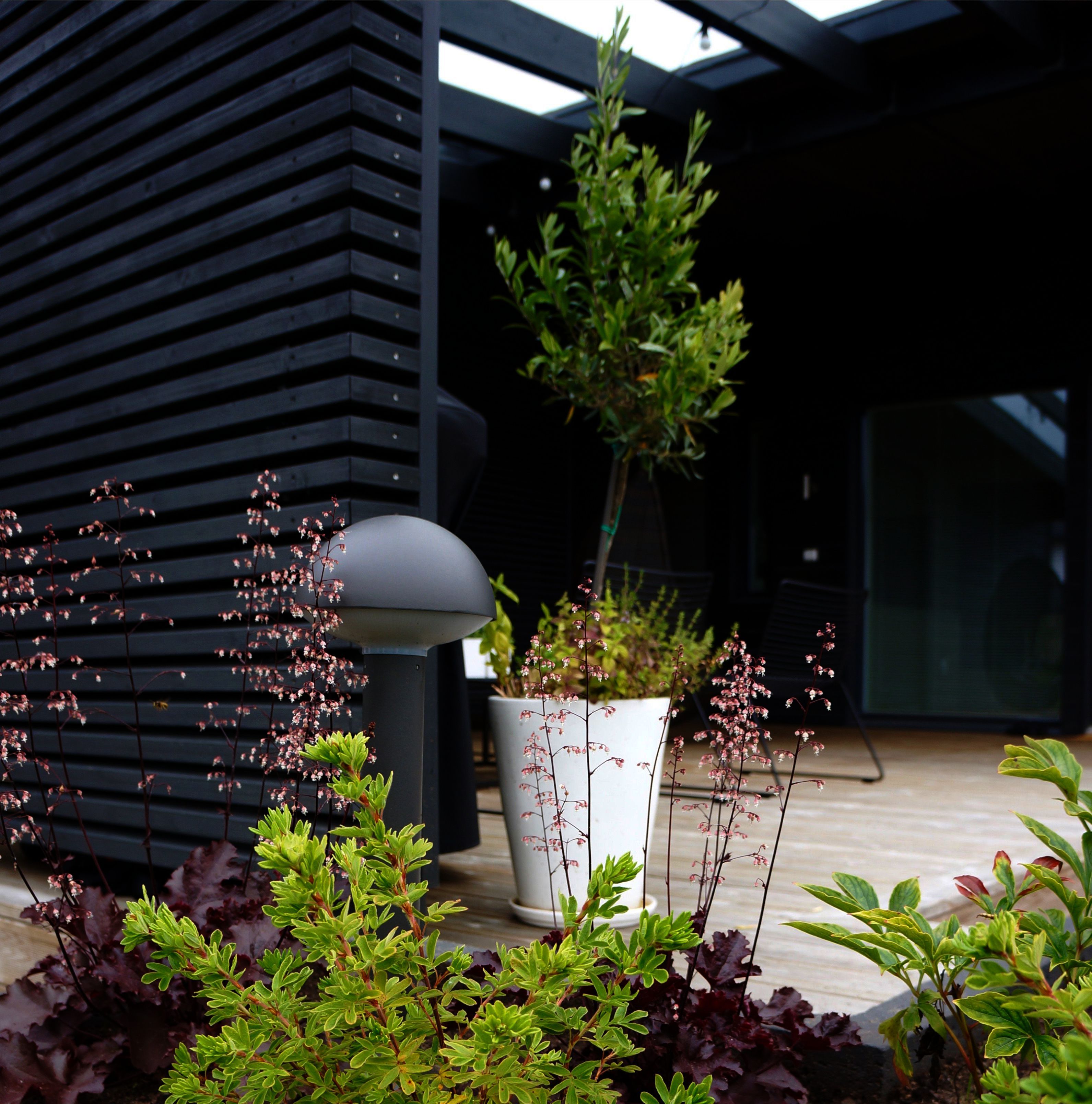 Your Outdoor Spaces