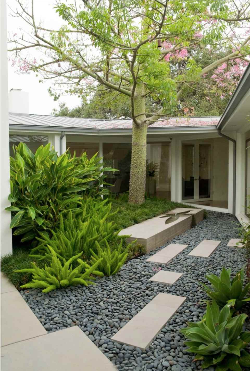 Best Small Garden Trees