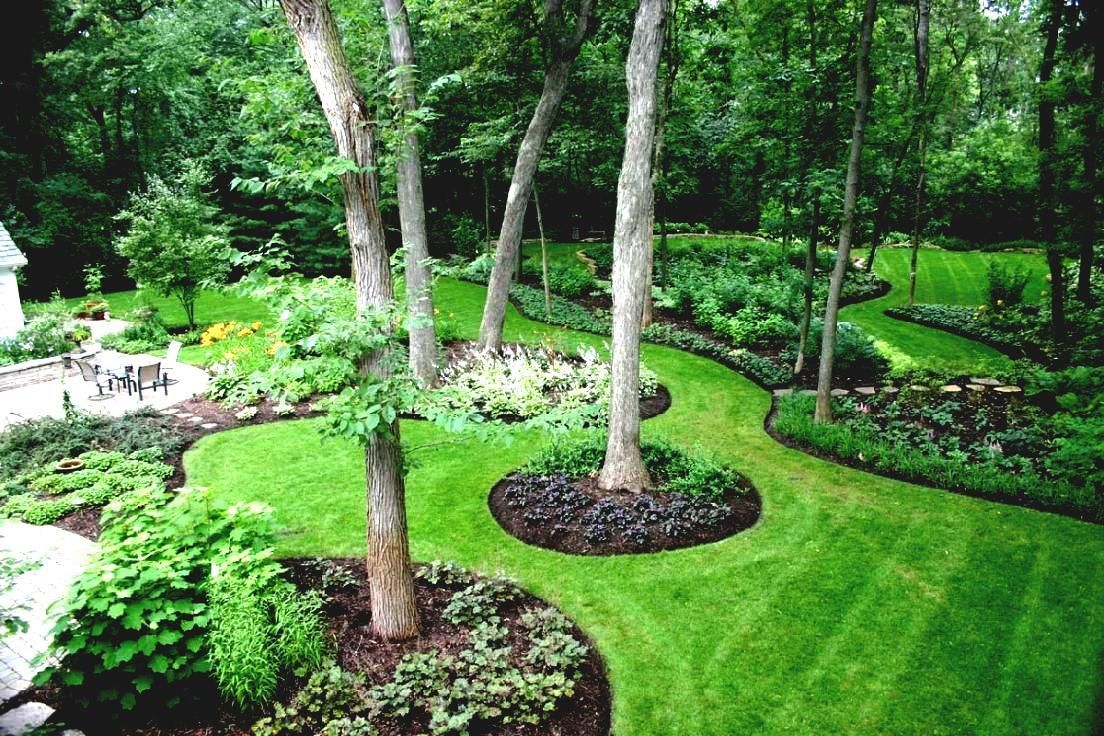 Cheap Landscaping Ideas