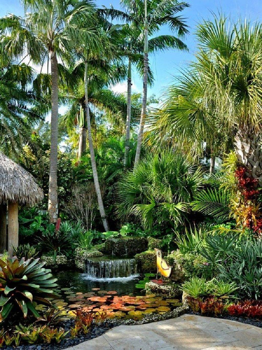 Small Tropical Backyard Ideas Simphome