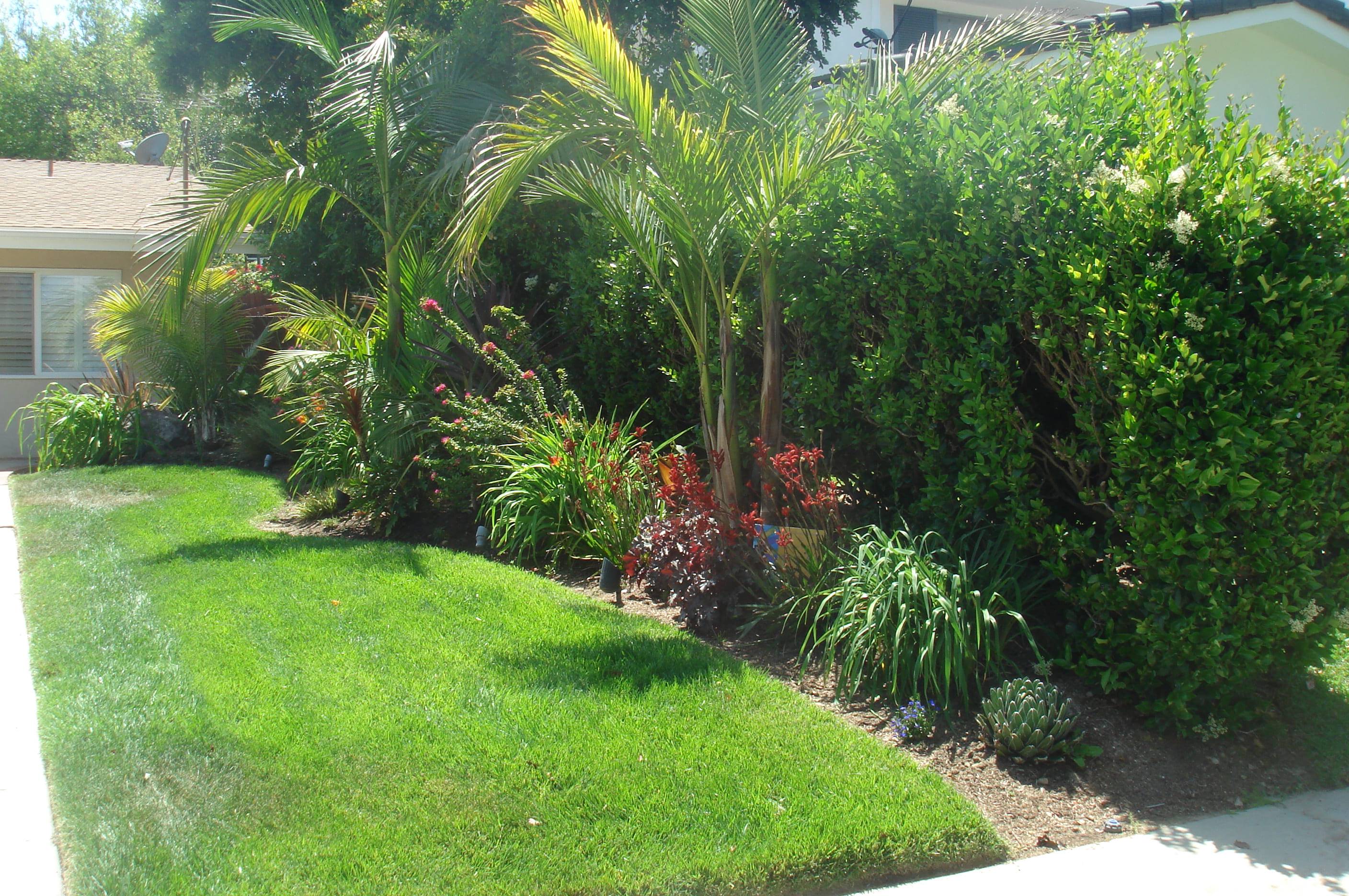 Front Garden Idea Tropical Garden Design