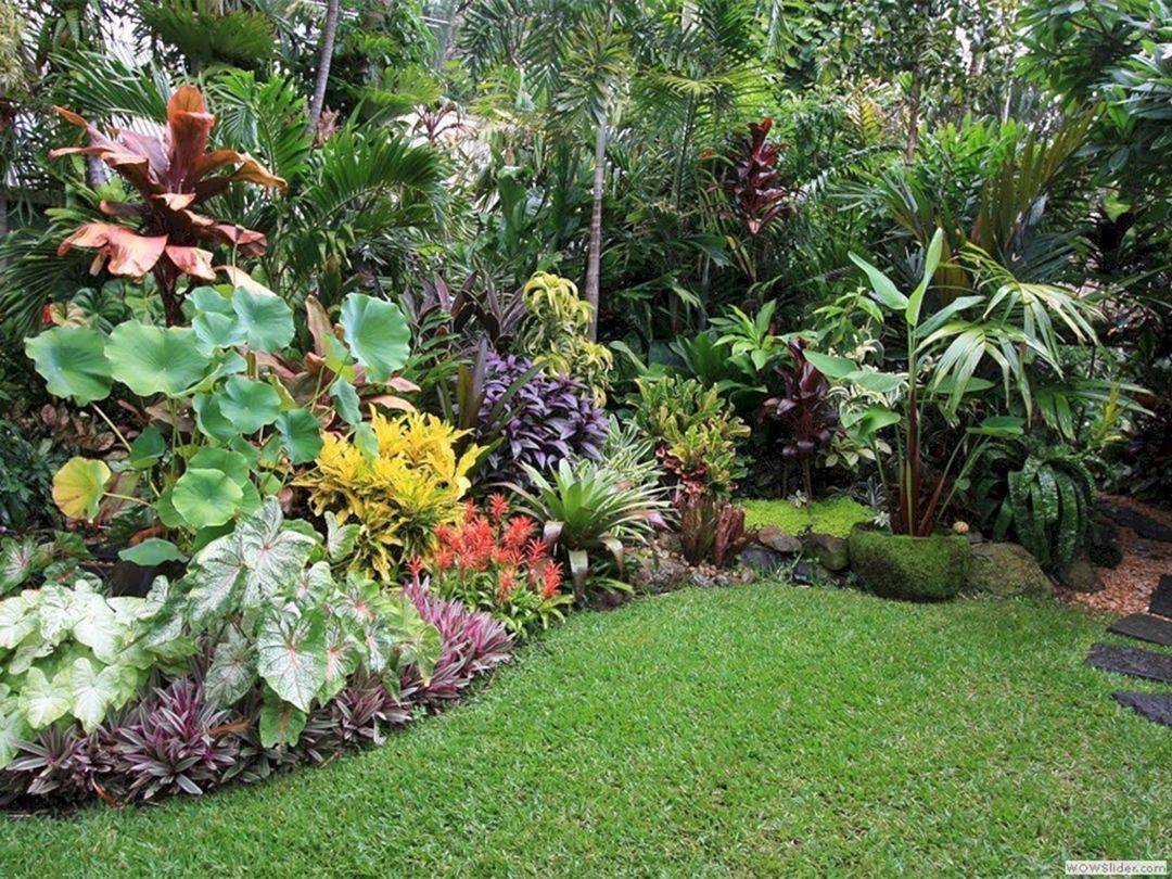 These Tropical Garden Design Ideas