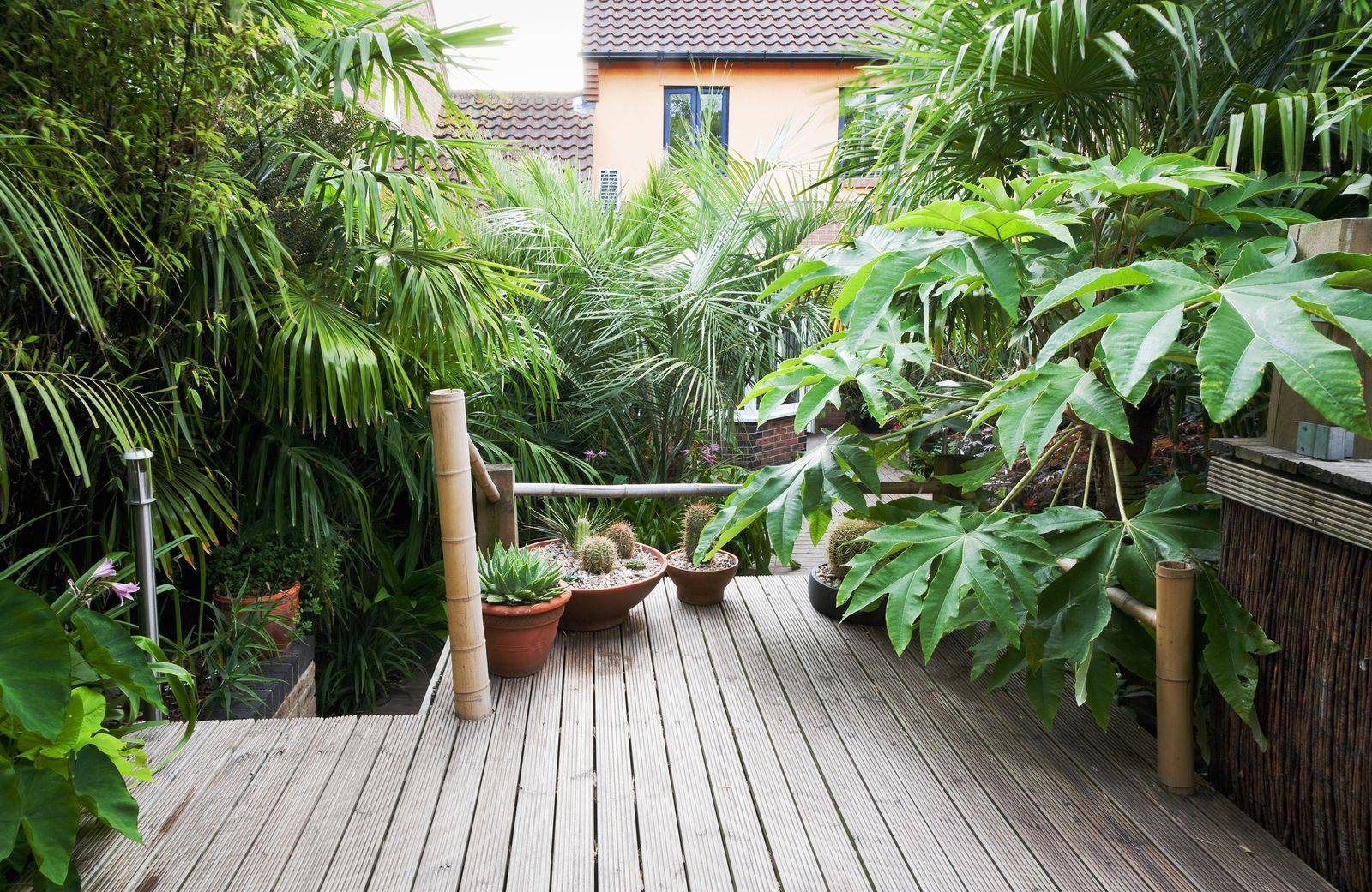 Nice Beautiful Tropical Front Yard Landscape Ideas