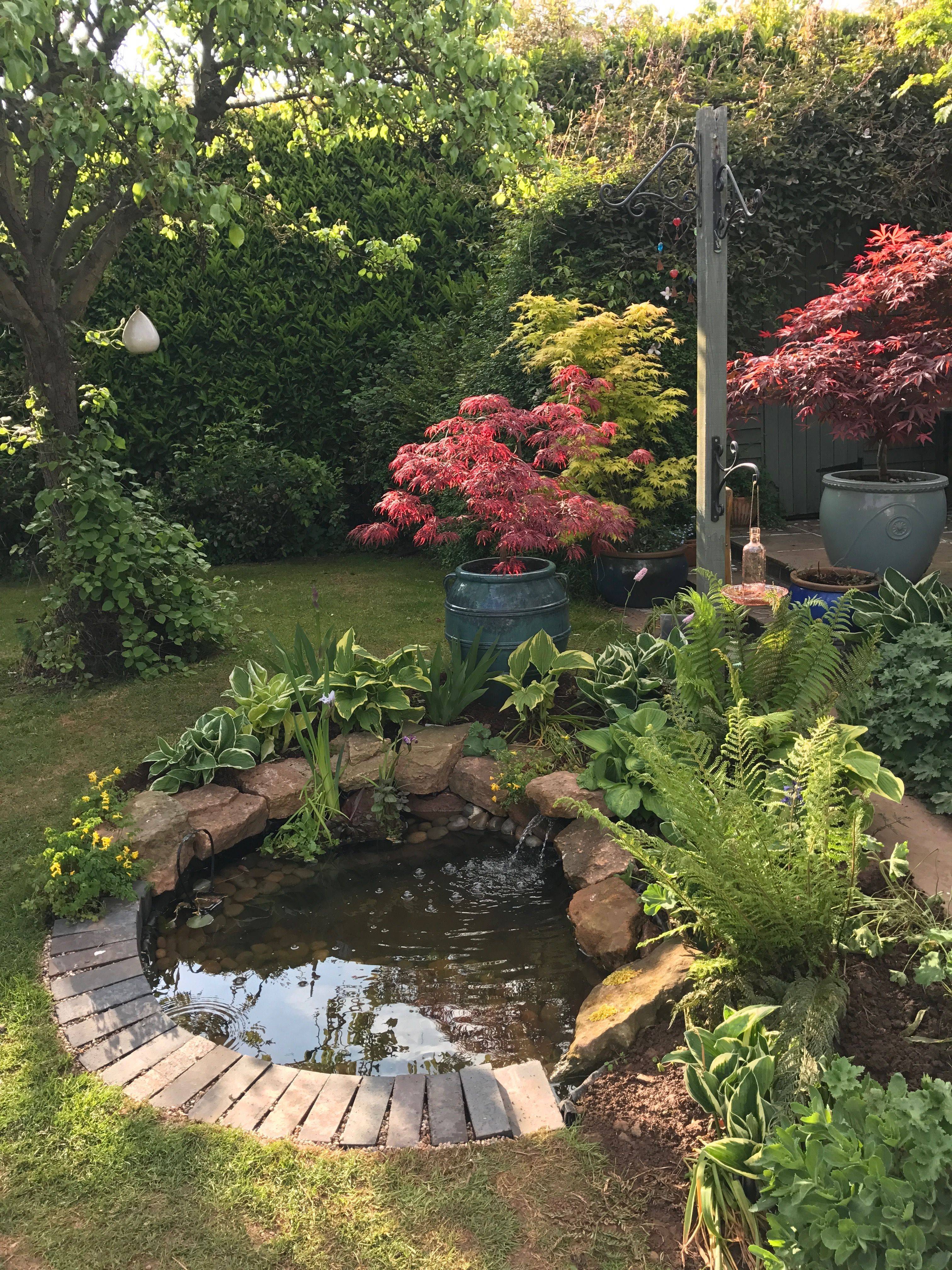 Simple Beautiful Small Pond And Water Garden