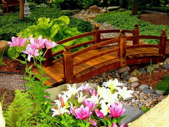 Recherche Google Backyard Bridges