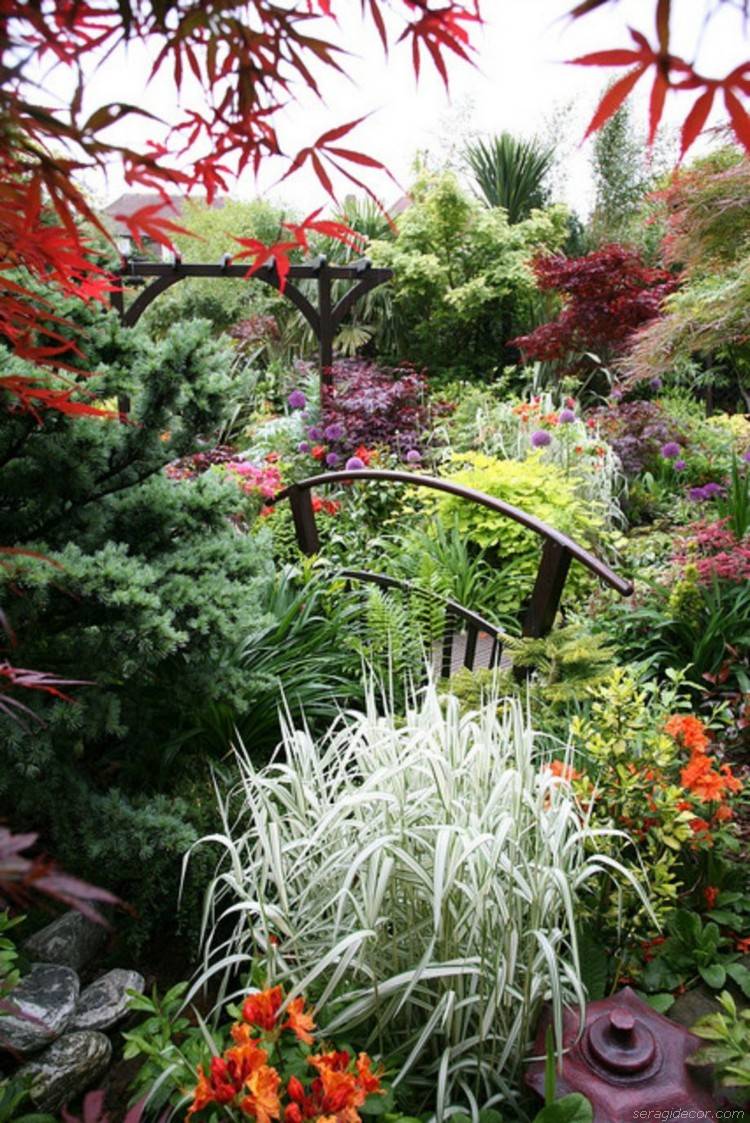 Japanese Garden Landscape