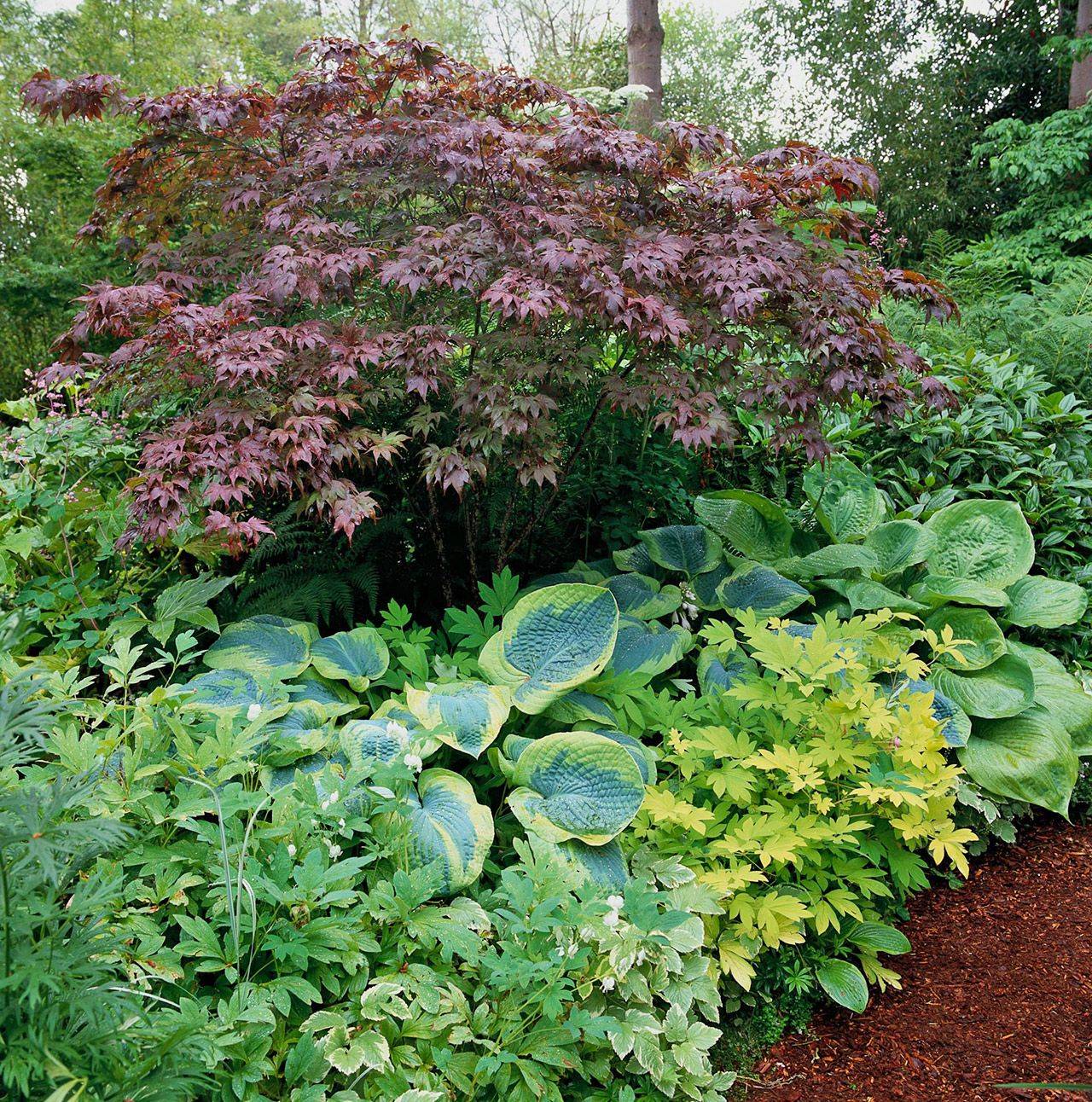 Japanese Garden Courtyard Gardens Design