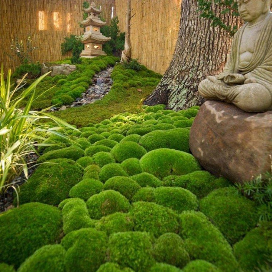 Small Japanese Garden Design Ideas Long Beach
