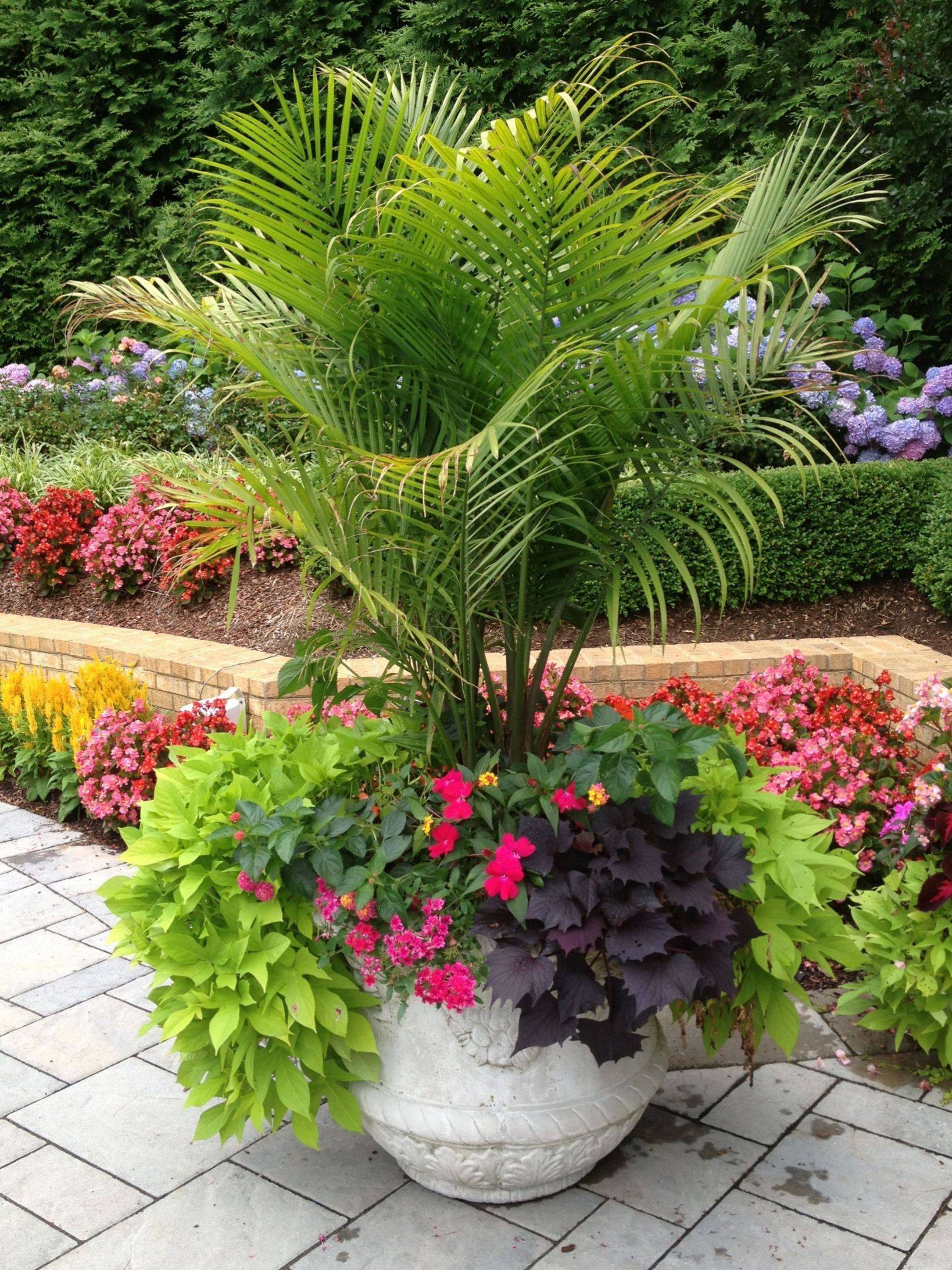 A Small Garden Space