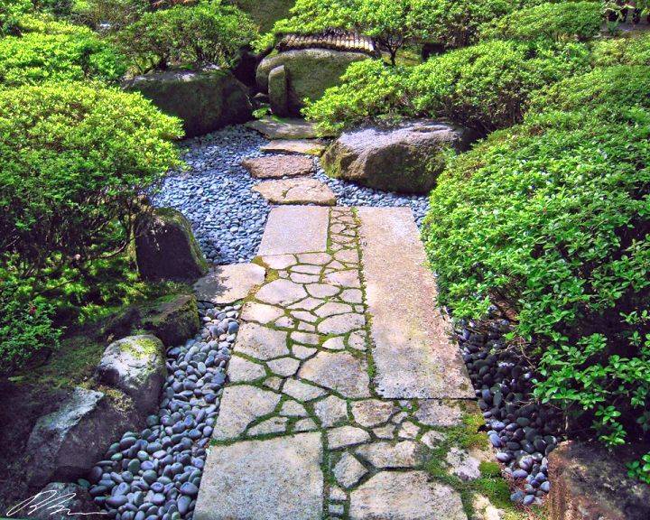 Backyard Rock Garden Ideas
